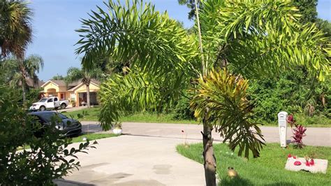 #💄Флорида,знакомство по интернету...и такое бывает😪,влипла - YouTube