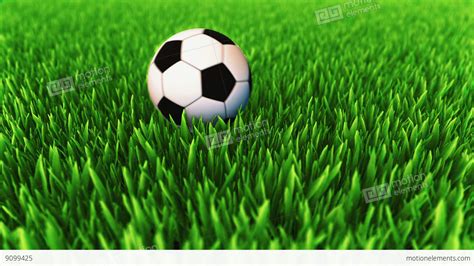 Classic Colored Soccer Ball Rolling On The Grass Field And Stops Stock Video Footage 9099425