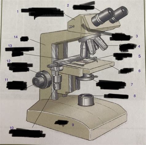 Biology Lab Practical Flashcards Quizlet