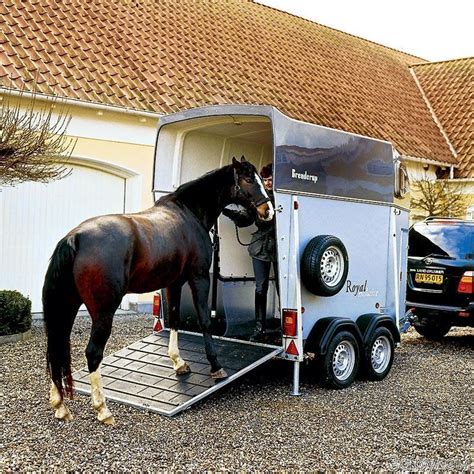 Осторожно, коневоз! | Пикабу