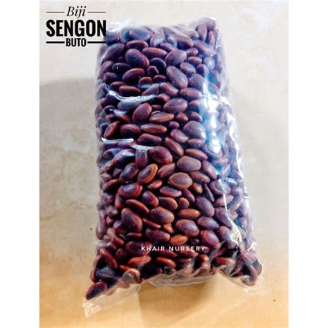 Jual Biji Sengon Buto 1kg Shopee Indonesia