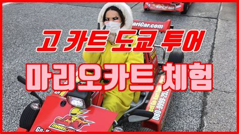 일본도쿄여행-마리오카트 체험 Go kart Tokyo Tour - La Vie Zine