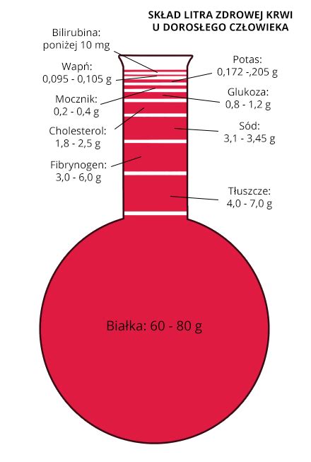 Morfologia Krwi Przygotowanie Wyniki Wskazania Badania I Zabiegi