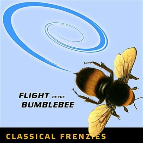 Play Flight of the Bumblebee - Rock Band Network version by Paul Henry ...