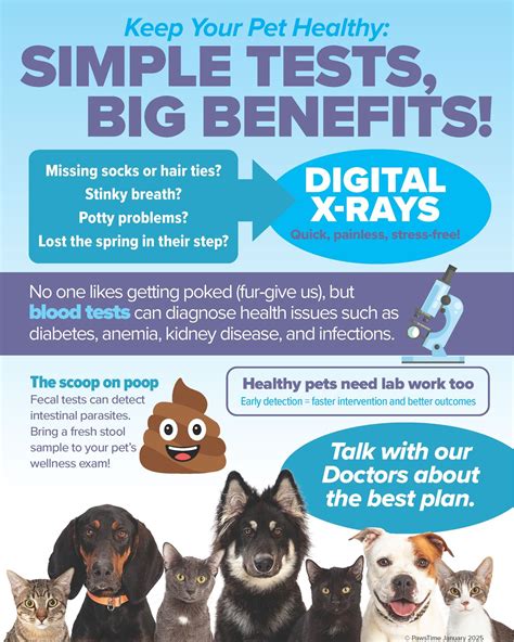 tiger tails animal hospital 2