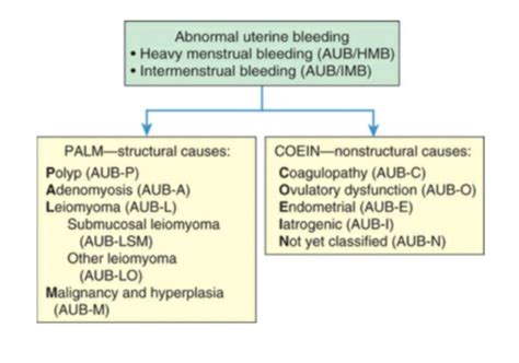 Patho Exam 5 Alterations Of The Female Reproductive System Flashcards