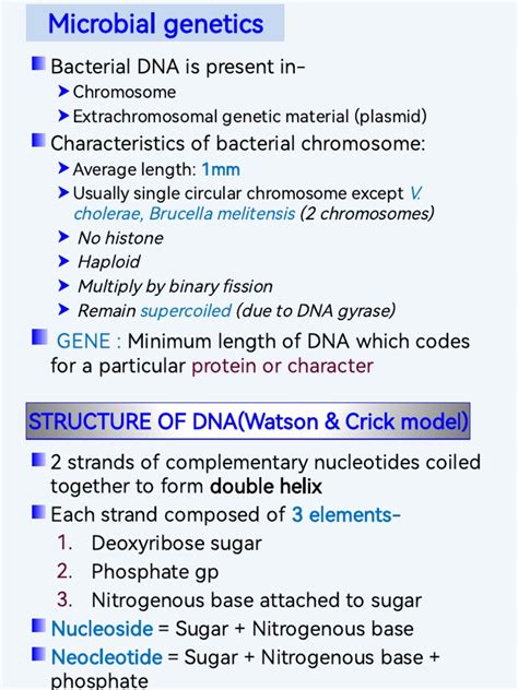 Bacterial Genetics: An Overview of Bacterial Chromosomes, Plasmids, DNA ...