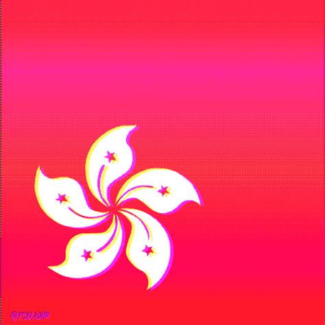 Hong Kong S Wiffle