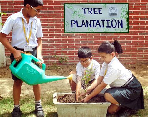 TREE PLANTATION - SHREE KRISHNA ACADEMY