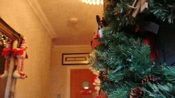 Strangers Porn Tube Video Clips Clips Sale