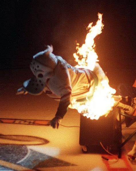 Fuck The Ducks R Sanjosesharks