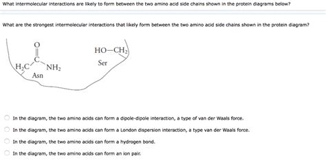 Solved What Intermolecular Interactions Are Likely To Form Chegg