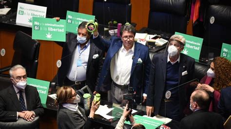 Monreal insiste al gobierno de la CDMX atender plantón del cannabis