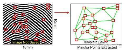 指纹识别的流程 知乎