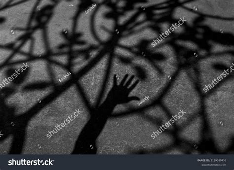 Shadows Art Photos Shadow Art Background Stock Photo 2189389453 ...