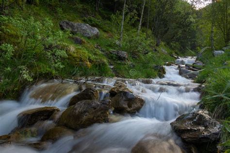 água Fluvial Flui Entre As Pedras De Uma Floresta Verde Foto de Stock