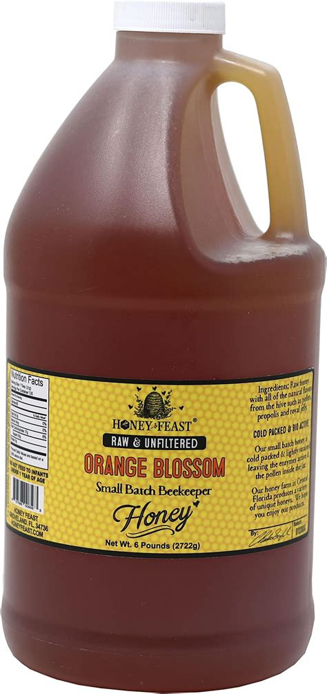 Honey Feast Raw Orange Blossom Honey 6lb Bulk Honey All