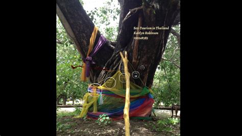 Sex Tourism In Thailand By Kaitlyn Robinson On Prezi