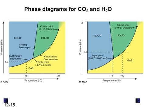 The Complete Guide To Understanding The Co2 Phase Change Diagram