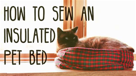 3 DIY Self-Warming Cat Beds You Can Make Today (With Pictures) | Hepper