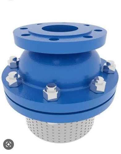 Cast Iron Foot Valve For Industrial Use At Best Price In Howrah