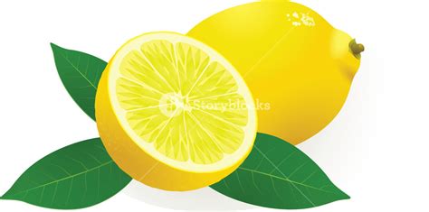 Lemon Vector Royalty Free Stock Image Storyblocks