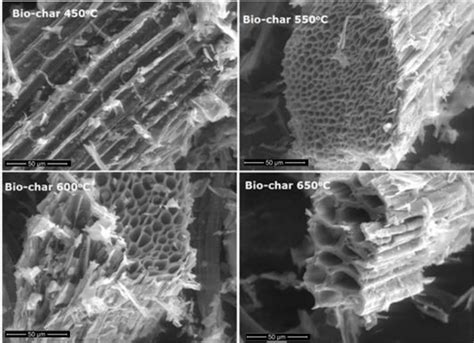 SEM Images Of NGS Bio Char Obtained At Different Pyrolysis