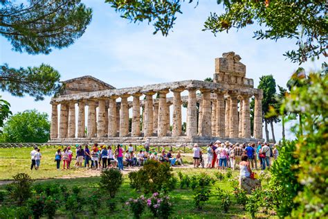 Templi Di Paestum Cosa Vedere Al Museo E Parco Archeologico