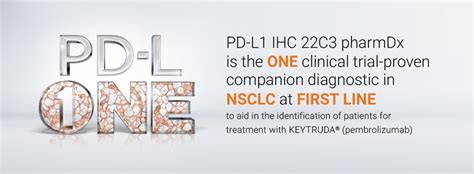 Pd L Ihc C Pharmdx Testing For Nsclc Agilent