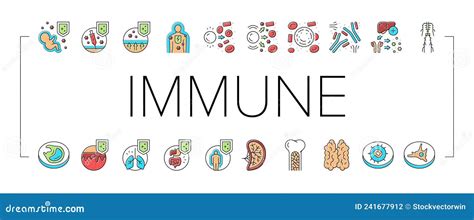 Immune System Disease And Treat Icons Set Vector Stock Vector