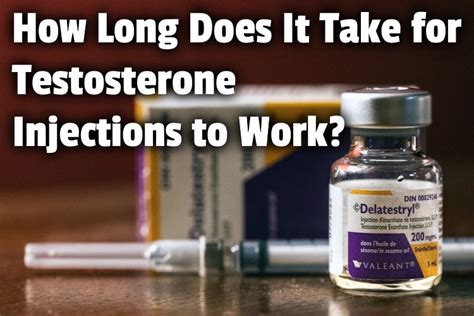 How Long Does Testosterone Therapy Take To Work