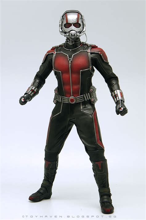 Toyhaven Hot Toys MMS Th Scale Ant Man Inch Collectible Figure Review Truly A
