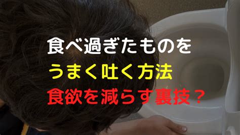 ダイエット中に食べ過ぎたものをうまく吐く方法！吐きたい時に吐けるやり方とは？ キヨキヨの美容ブログ