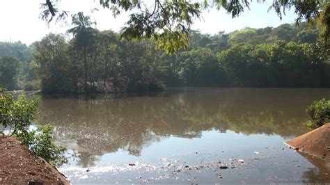 Ambientalista Denuncia Despejo De Esgoto Em Lagos Do Parque Do Mocambo