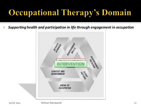 Occupational Therapy Practice Framework Domain And Process 2nd Edition