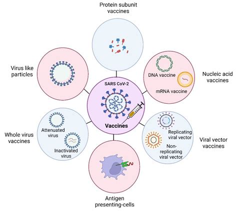 Vaccines Free Full Text The Vaccine World Of Covid 19 Indias