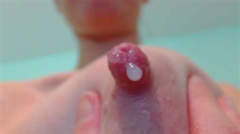 Forumophilia PORN FORUM Milk Of The Beloved Women Page