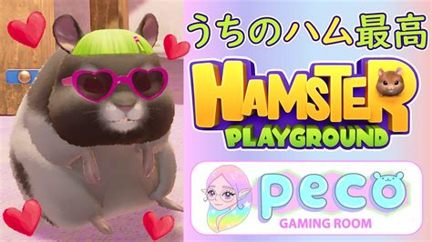 ⚠️かわいい注意⚠️ハムが可愛すぎる育成ゲーム🐹【ハムスタープレイグラウンドhamster Play Ground】 Youtube