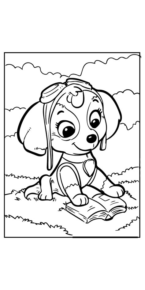 Paw Patrol Skye Coloring Pages Paw Patrol Coloring Skye Paw Patrol | Images and Photos finder