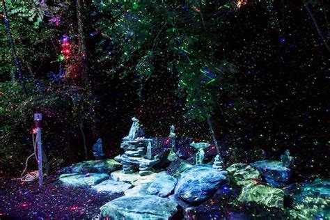 Foresta Lumina Is A Real Life Enchanted Forest The Creators Project