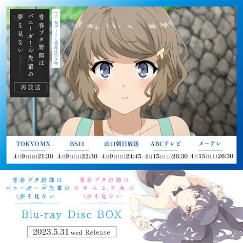 Bs11 アニメ全国無料放送テレビ局【公式】 On Twitter Rt Aobuta Anime 🐷青春ブタ野郎は バニーガール先輩