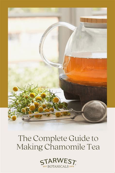 6 Easy Facts About Top 50 List Of Herbal Teas And Their Benefits Uses Explained Organic Premium