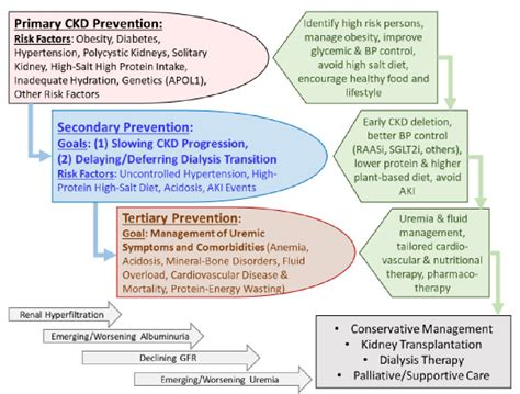 Kidney Health For Everyone Everywhere From Prevention To Detection And