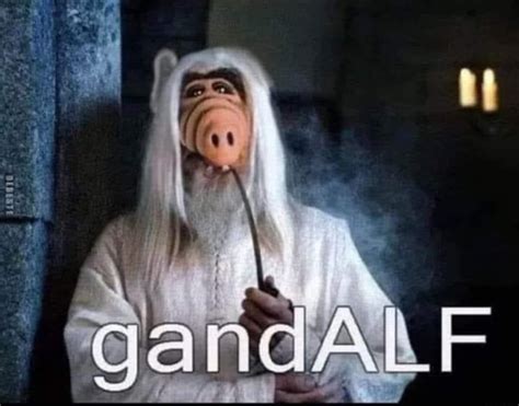 GandALF : r/lotrmemes