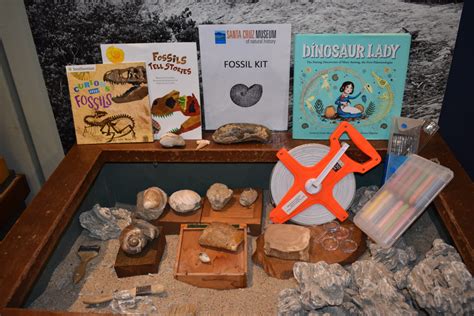 Fossil Educational Kit - Santa Cruz Museum of Natural History