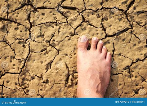 Naked Human Barefoot On Asphalt Road At Tactile Bumps Pavin Stock Photo