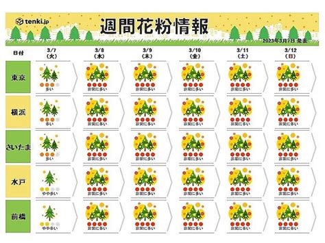 きょう7日の関東 晴れて気温が大幅アップ 4月並みの暖かさ 寒暖差と花粉に注意 ライブドアニュース