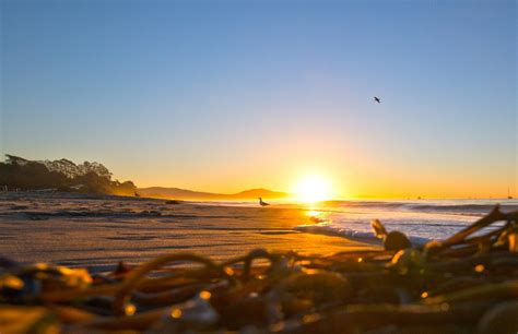 Bildet Strand Hav Kyst Sand Horisont Sol Soloppgang Solnedgang