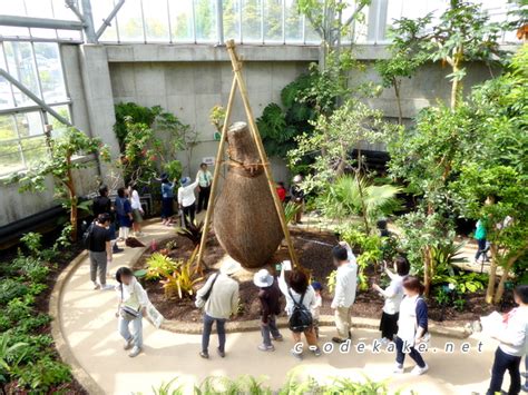 山口宇部「常盤公園」ときわ公園）で一日中楽しもう！遊園地、植物園、動物園、イルミネーションなどのイベントも楽しい。