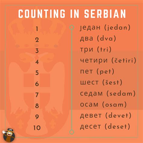 Lets Learn Serbian Numbers Together Serbian Learning Serbian Language